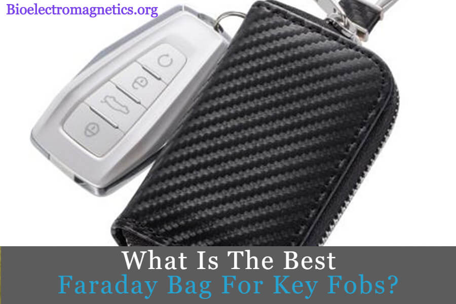 Best Faraday Bags For Key Fobs Keep Your Car Safe 2021 Reviews