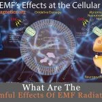 Harmful Effects Of Electromagnetic Radiation On Humans
