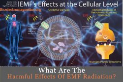 Harmful Effects Of Electromagnetic Radiation On Humans